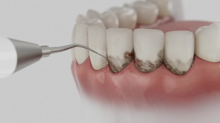 Reliable Emergency Dentist contractor in Point Baker, FL by Smile Center Dentistry